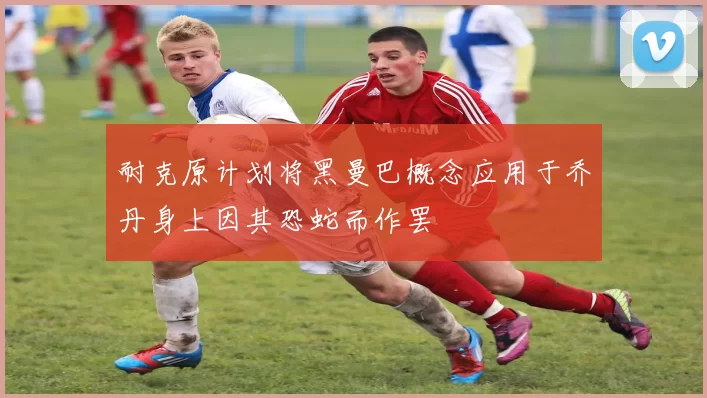 耐克原计划将黑曼巴概念应用于乔丹身上因其恐蛇而作罢